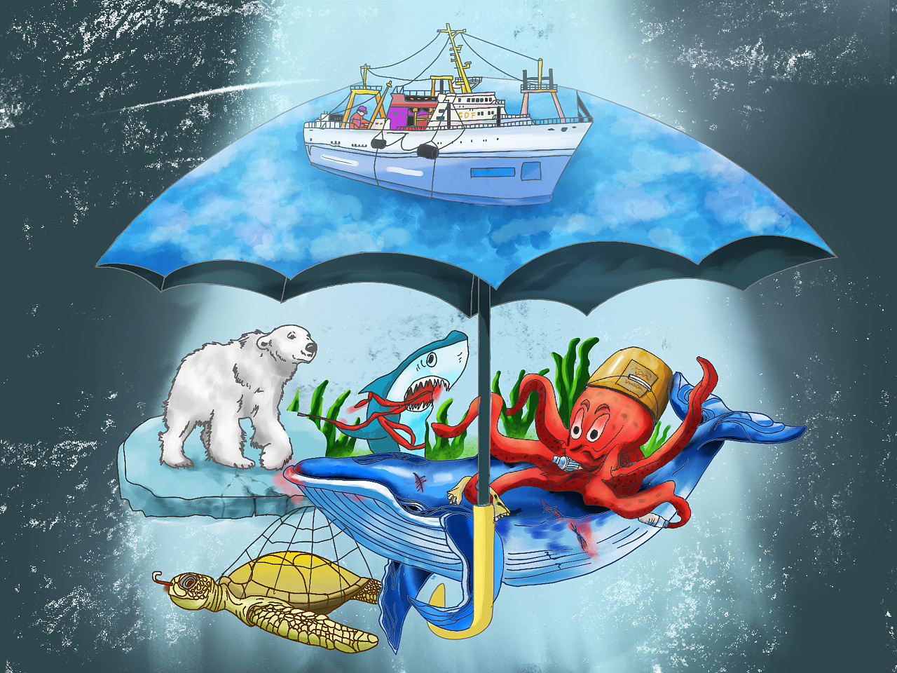 发现环保之美——还海洋一个家