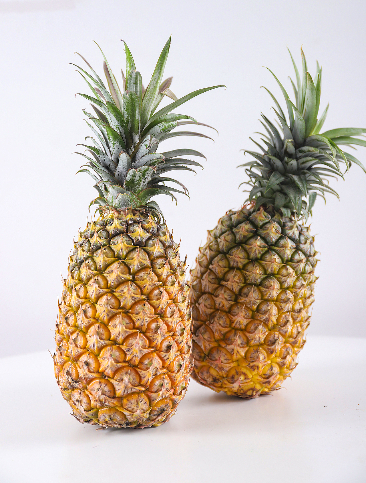 海南台农17号菠萝