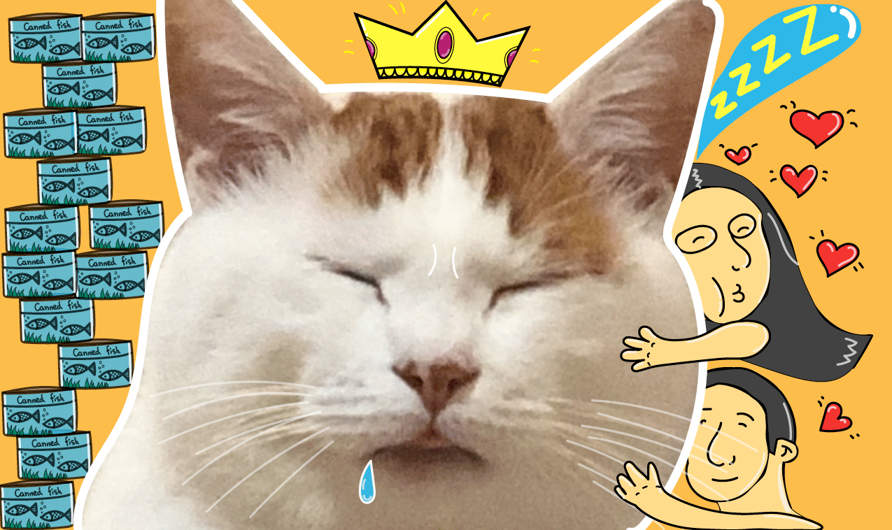 做梦猫（图ZMTg0OTA4ODEy） - 图案 - 站酷设计师龙爷aaa原创素材 - 站酷ZCOOL
