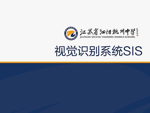 桃州中学VIS设计案例