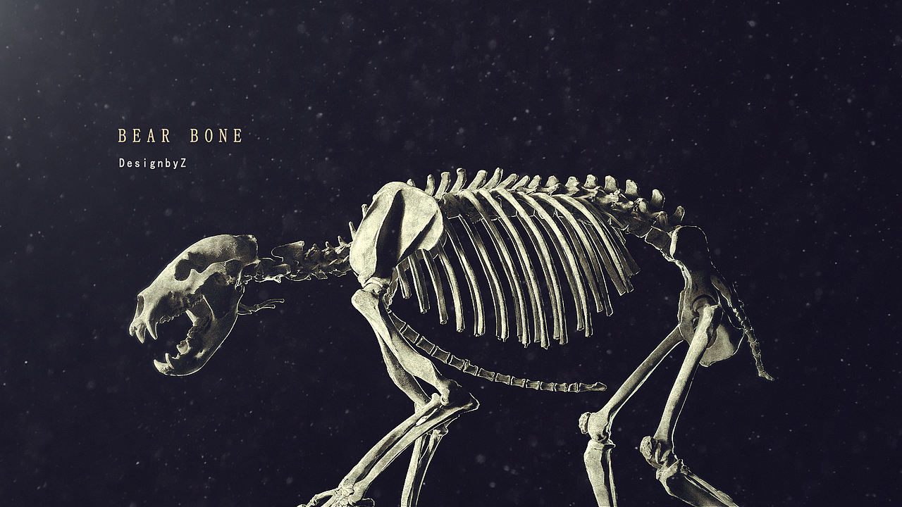 7-8月OC渲染合集