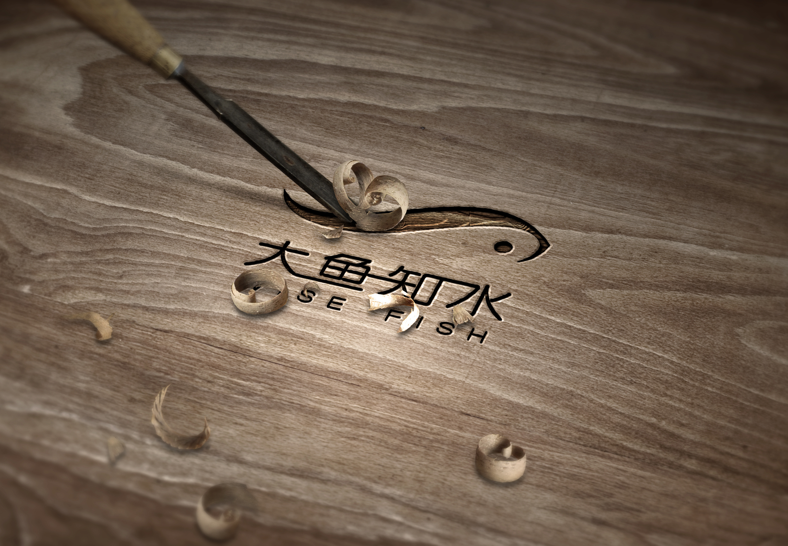 大鱼知水-工作室logo设计