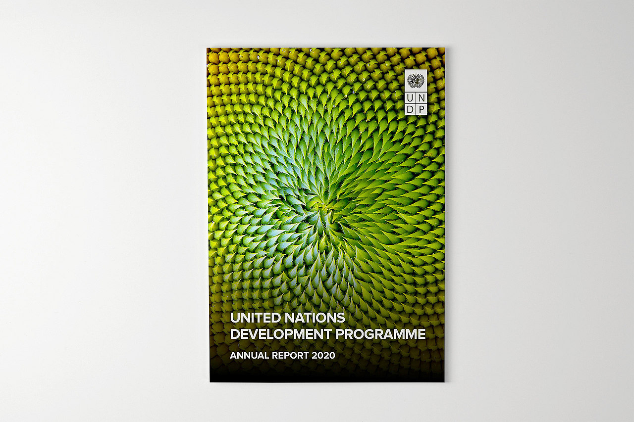 2020年联合国发展计划署年度报告