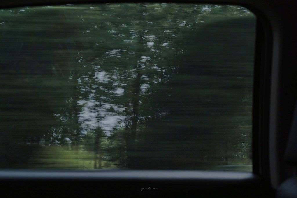 nuomii的个人主页（封面预览） - 主页封面设置 - 站酷设计师nuomii原创素材 - 站酷ZCOOL