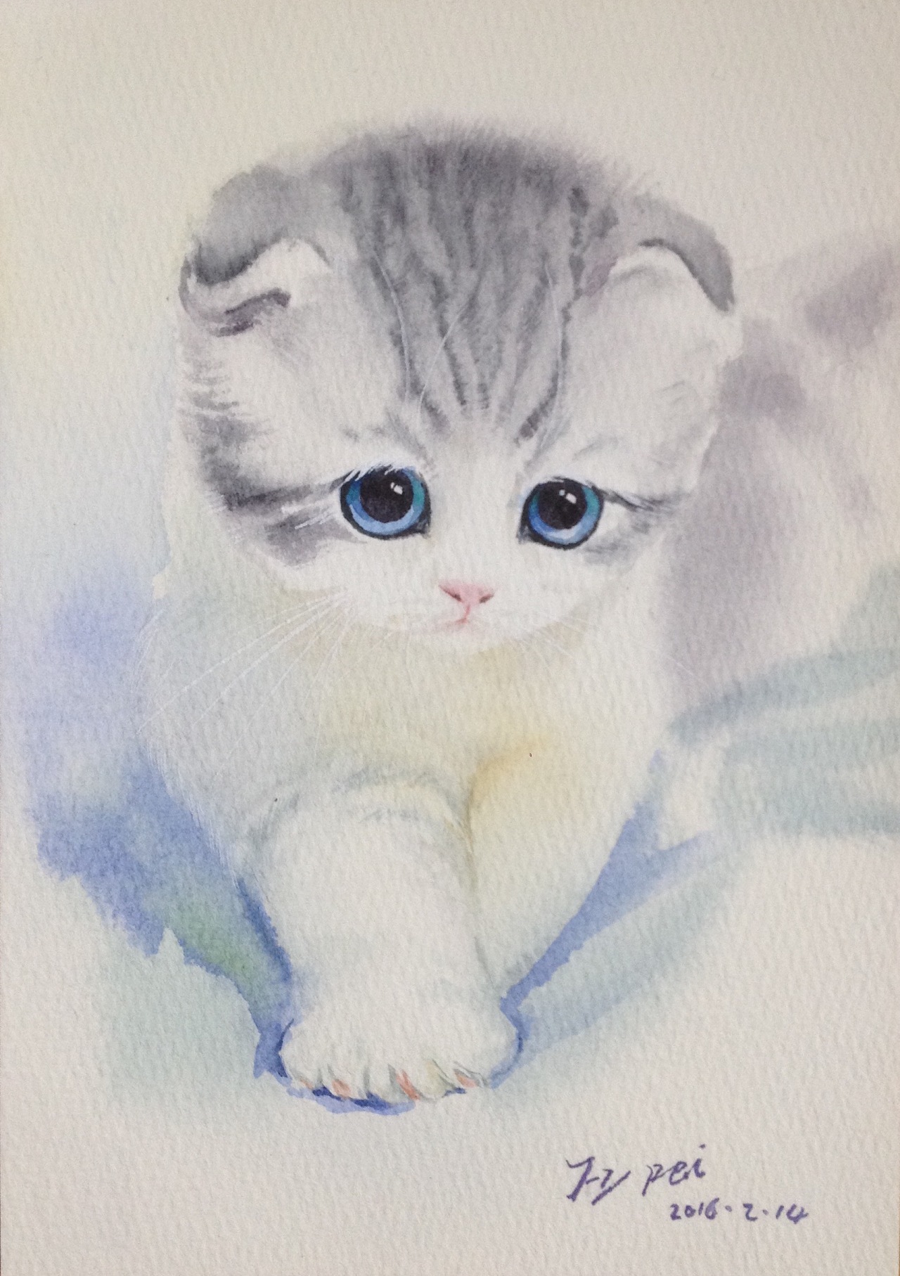 彩色铅笔画步骤教程：日本短尾猫的画法_特特日安-站酷ZCOOL