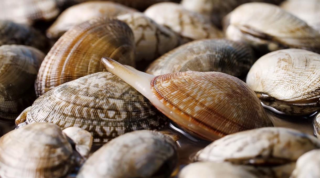 花甲海鲜视频创意拍摄