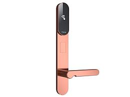 酒店智能电子锁