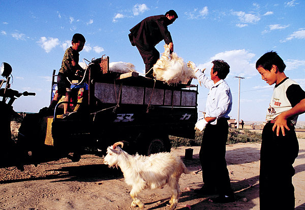 宁夏风光（图ZNzk3NzY=） - 风光摄影 - 站酷设计师捌零映像原创素材 - 站酷ZCOOL