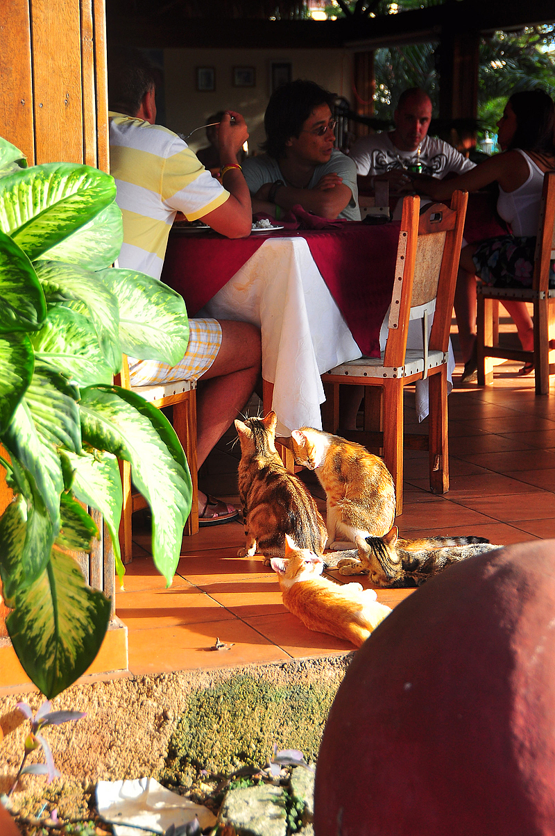 古巴—加勒比海上的热情岛国（图ZNTI0MzE1Mg==） - 风光摄影 - 站酷设计师Edwiner原创素材 - 站酷ZCOOL