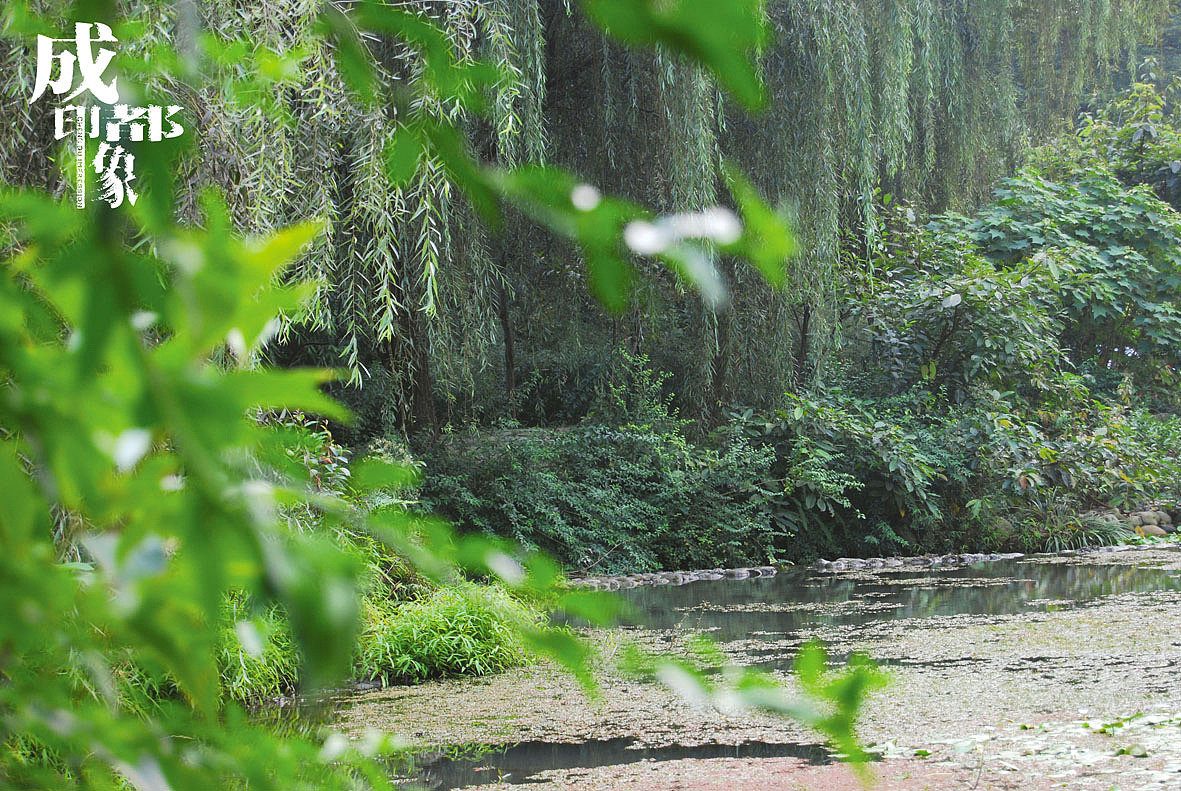 成都印象（2）原创（图ZMjM3MDA0） - 风光摄影 - 站酷设计师马强原创素材 - 站酷ZCOOL