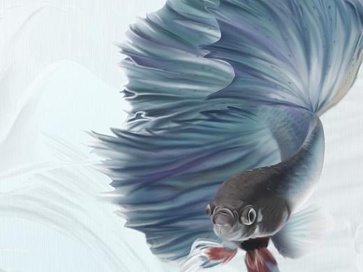 锦鲤画作（个人主页-ZMzM0MTE3Mjg=） - 创作习作 - 站酷设计师小沟街原创素材 - 站酷ZCOOL
