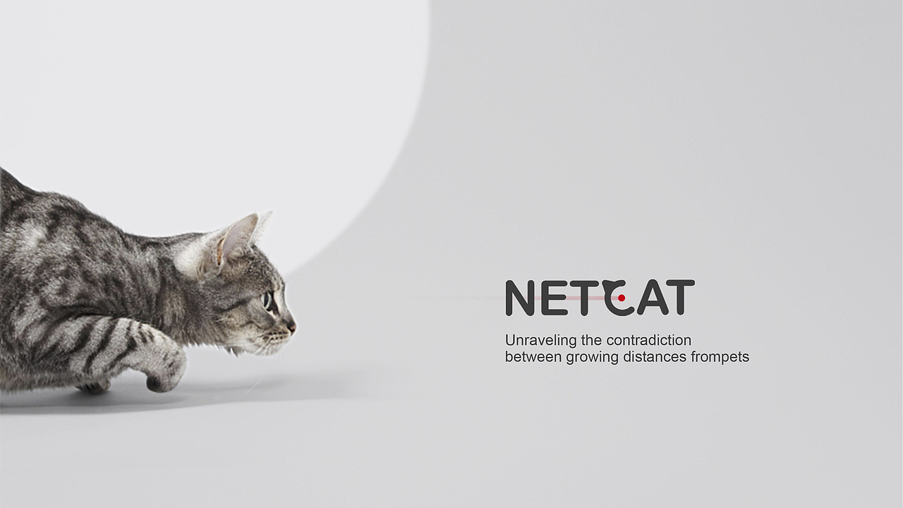 一种感动-作品集-猫粮智能喂食器