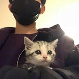 用户头像