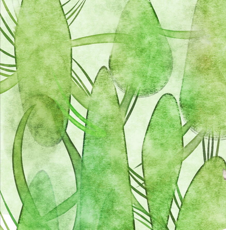 夏时光（图ZMjE0OTg0NzY0） - 艺术插画 - 站酷设计师迷糊宝宝Misa原创素材 - 站酷ZCOOL