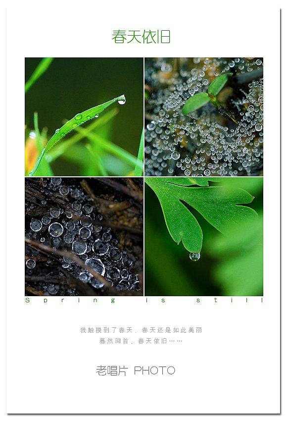 【春天依旧】我触摸到了春天,暮然回首,春天依旧…… 