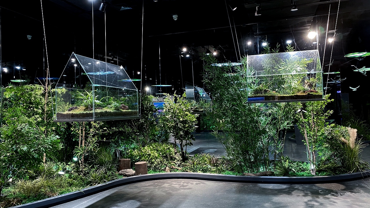森行纪——2020自然科普馆（图ZMzA1MzIzNTY0） - 展陈设计 - 站酷设计师是锦鲤原创素材 - 站酷ZCOOL