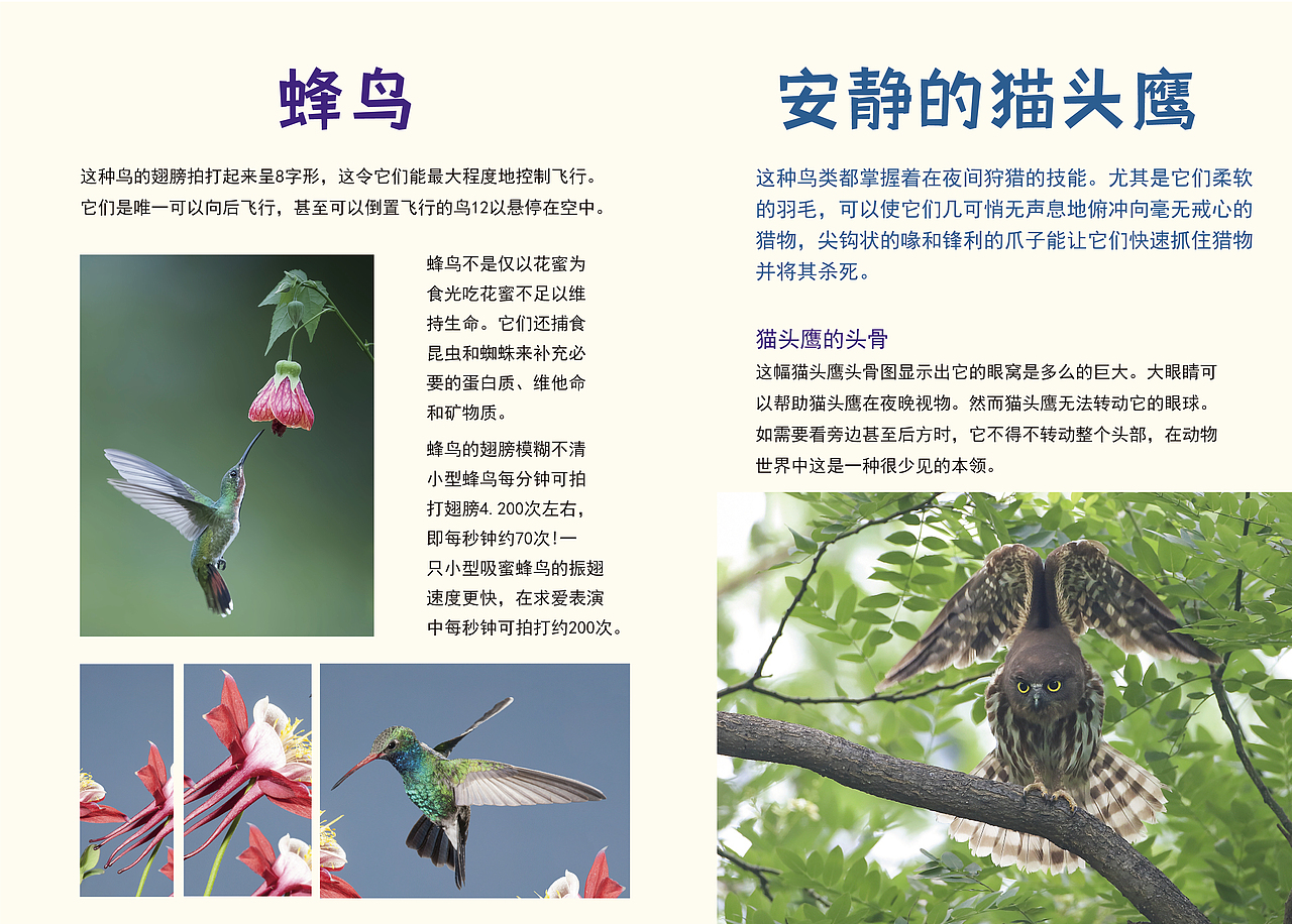个人练习作品集（图ZMjgxOTQxNDg0） - 海报 - 站酷设计师丝安三原创素材 - 站酷ZCOOL