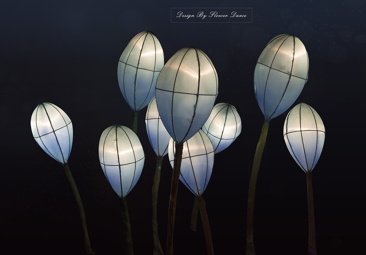 大唐芙蓉园灯会