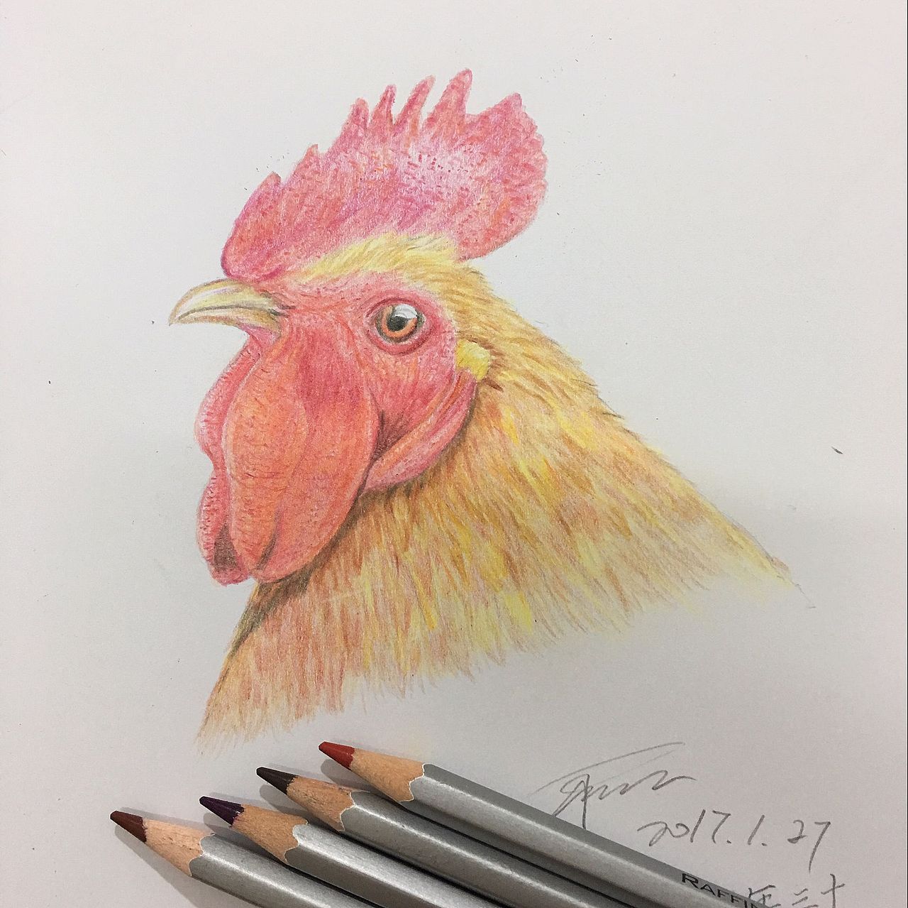彩铅练习 鸡年大吉