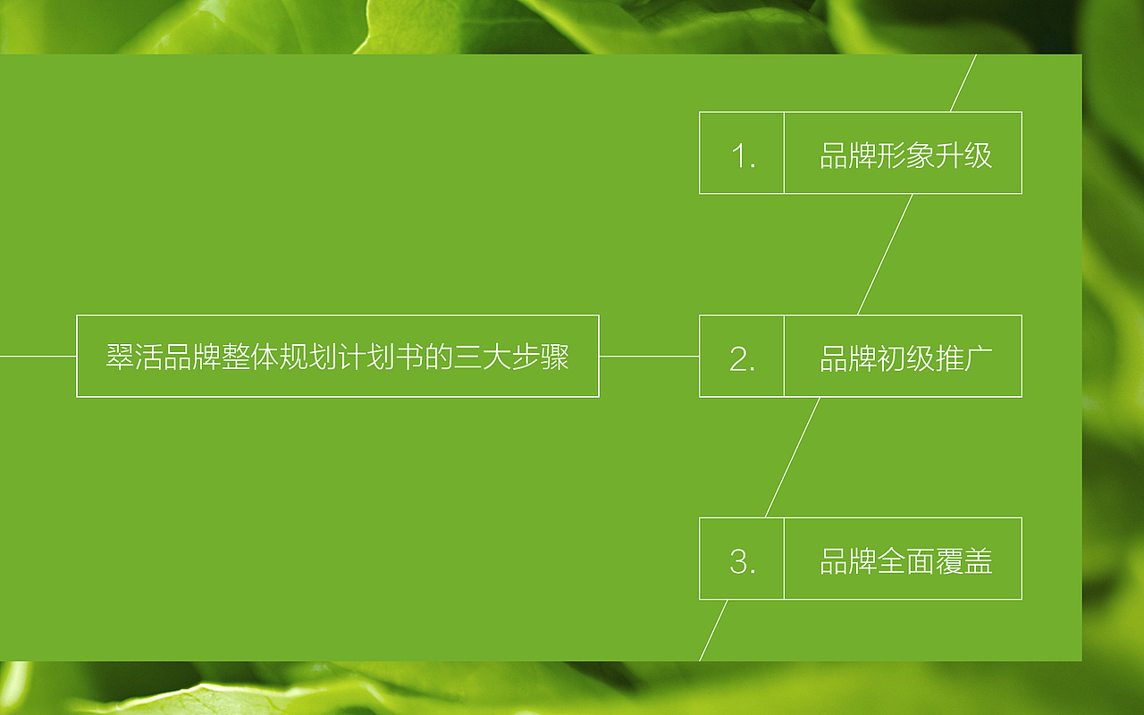 CuiFui 品牌形象设计 | 由里（图ZMTI2MTcyODYw） - 品牌 - 站酷设计师由里品牌机构原创素材 - 站酷ZCOOL