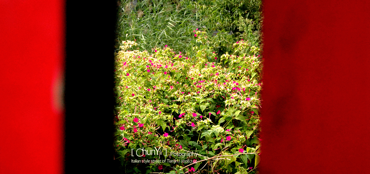 【2008-2019十年影像记录/天津海河租界十年变迁记】