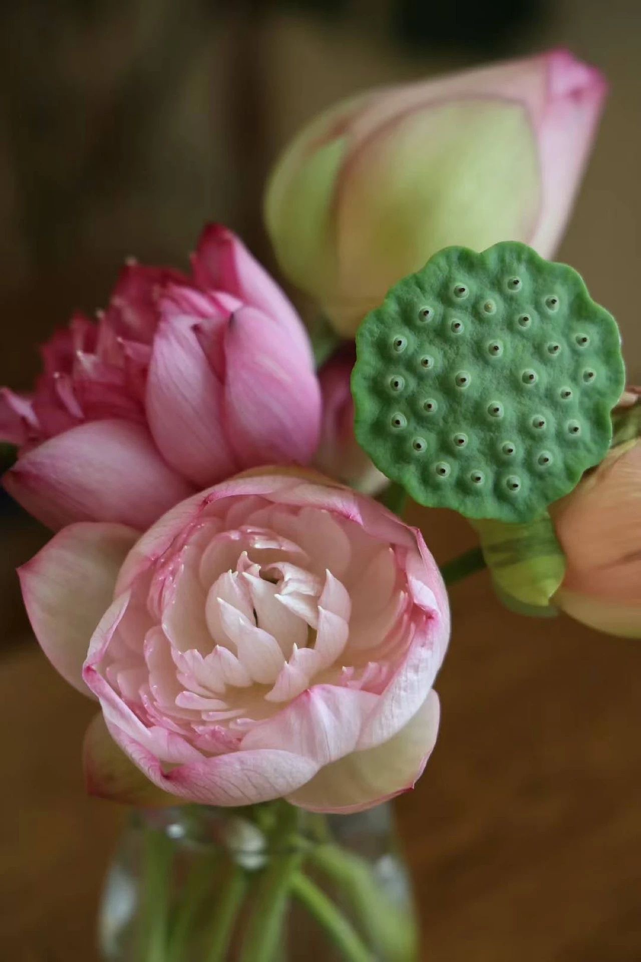 浓茶淡雅总相宜…