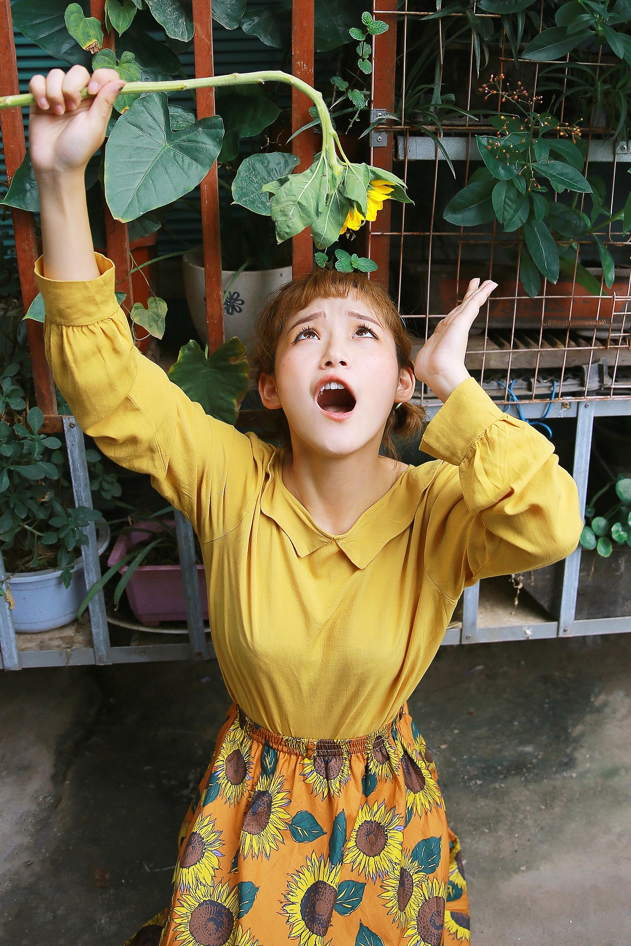 南京女孩－孟陈（图ZMTMwMzAxMDY4） - 人像摄影 - 站酷设计师midy有岸原创素材 - 站酷ZCOOL