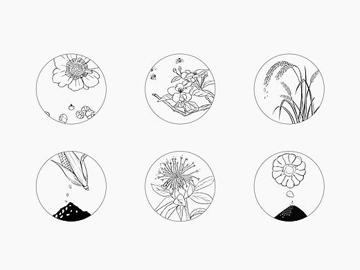 四季植得品牌设计