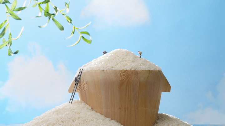 电商视频丨三生泽谷有机大米 ✖ 0574摄影基地（图ZMzEyMTc5NTQw） - 短片 - 站酷设计师0574摄影基地原创素材 - 站酷ZCOOL