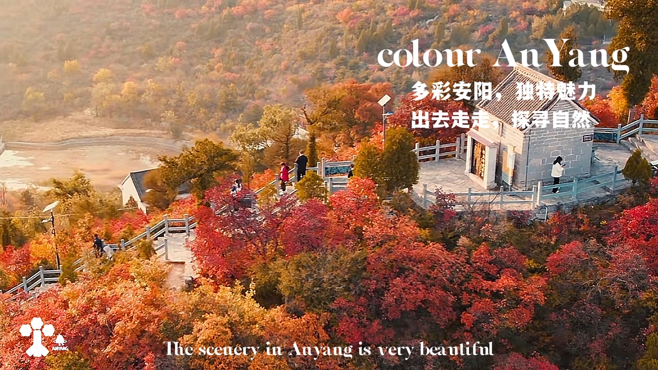 安阳品牌设计-自然 安阳logo设计