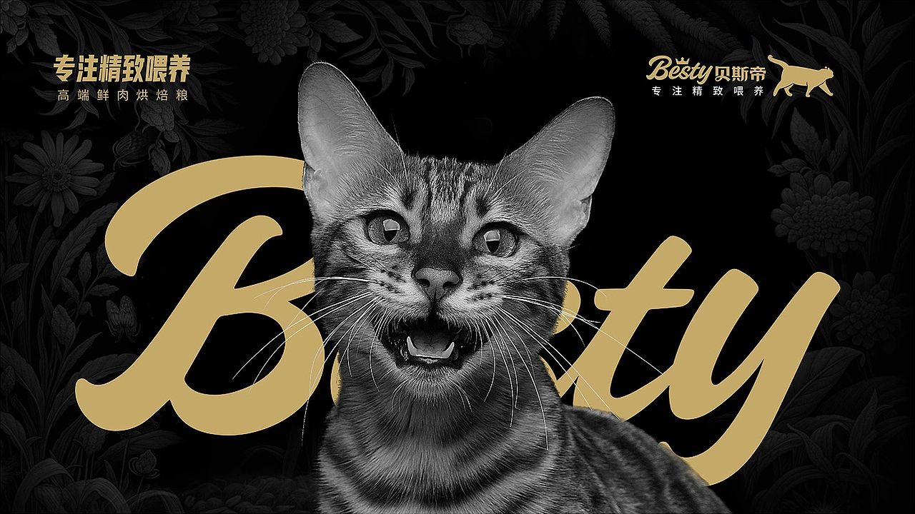 猫粮包装设计 宠物包装设计 宠物vi设计 宠物品牌设计