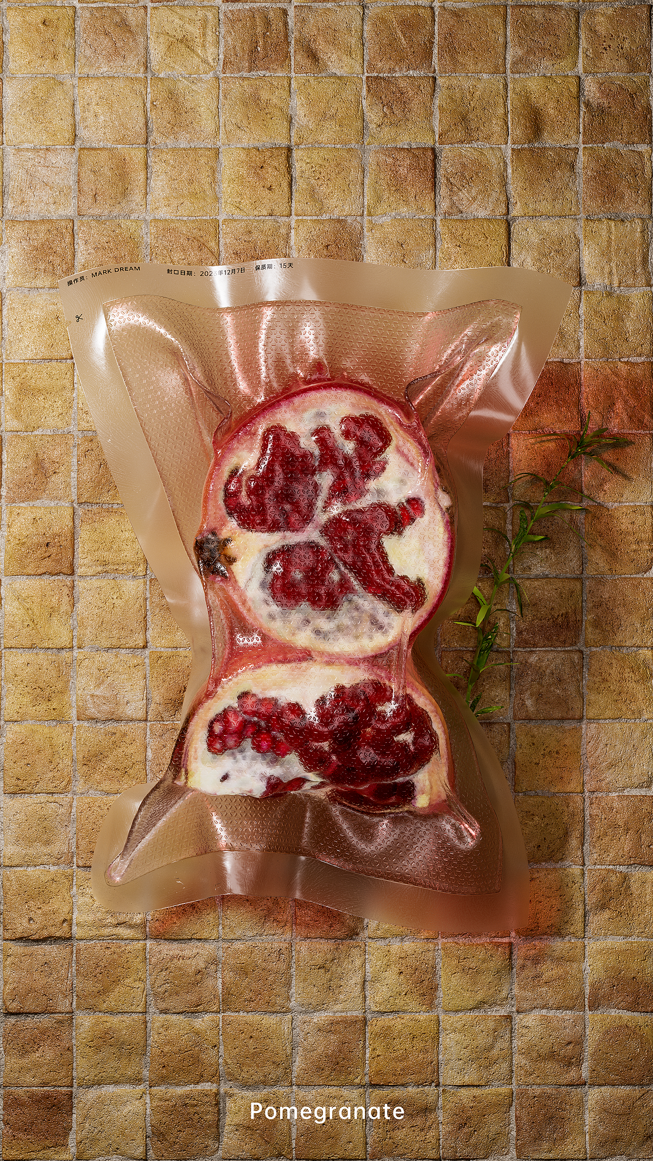 十二月-瓶颈期摆烂小作