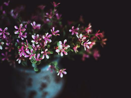 静物拍摄 | 暗 花
