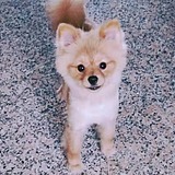 Wei_G的头像