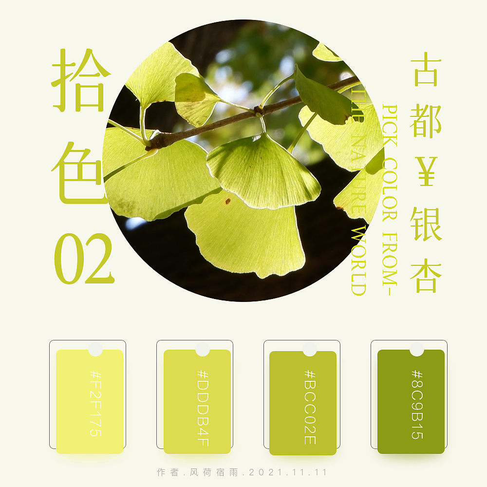 色彩（银杏）（图ZMjgyNzQ2NjM2） - 其他 - 站酷设计师风荷宿雨原创素材 - 站酷ZCOOL