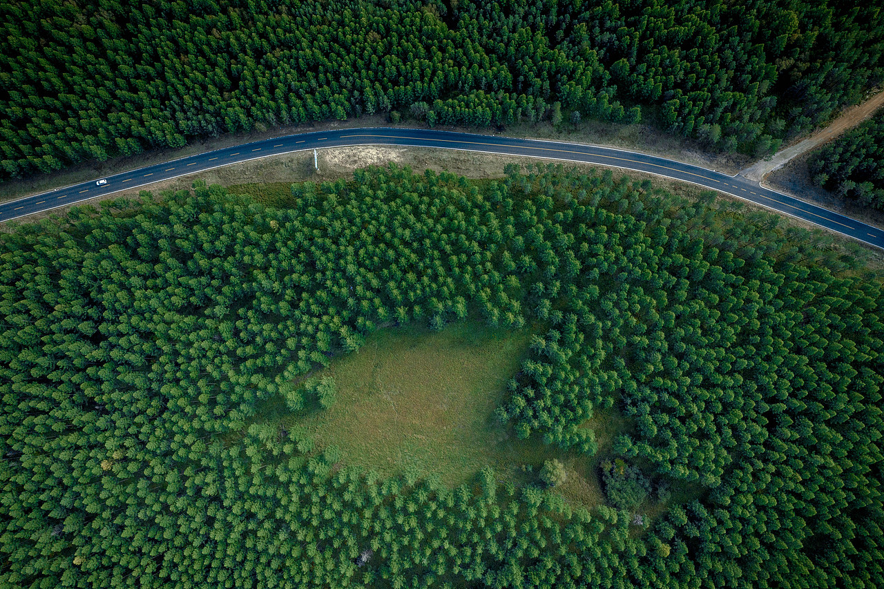 塞罕坝 森林航拍