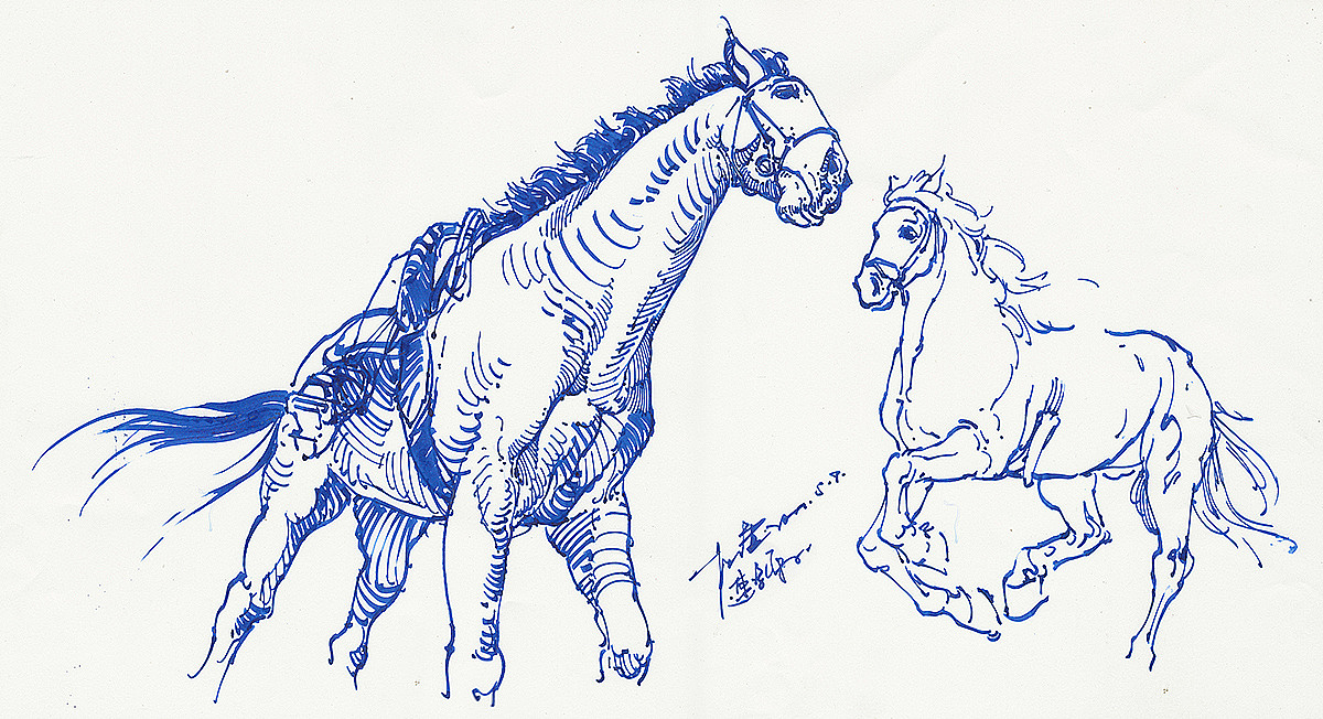 猫猫狗狗马马 ……小集（图ZOTg5NjAyNTY=） - 绘画 - 站酷设计师DX_IDO原创素材 - 站酷ZCOOL