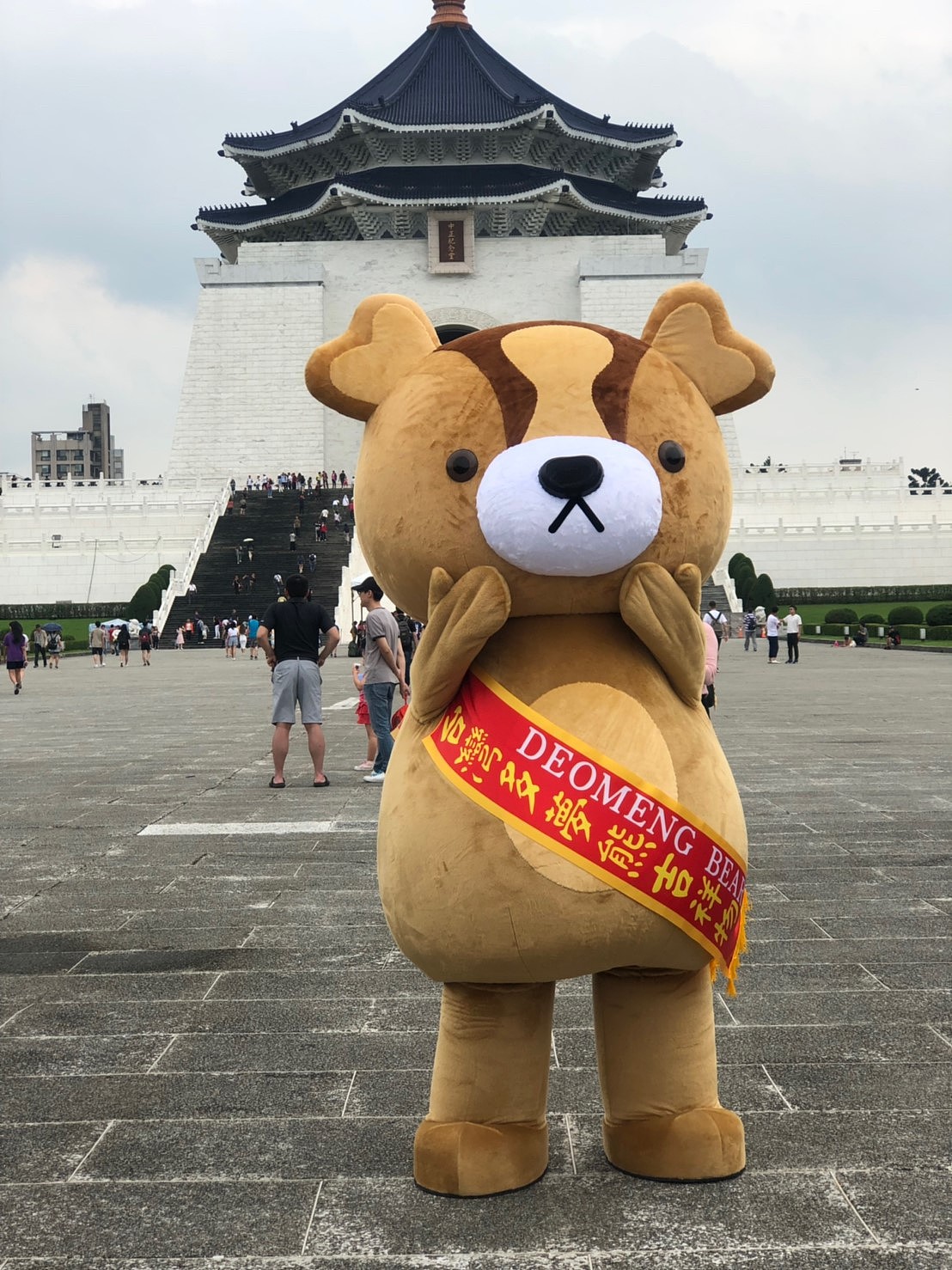 台湾吉祥物 多梦熊_赐海国际企业-站酷zcool