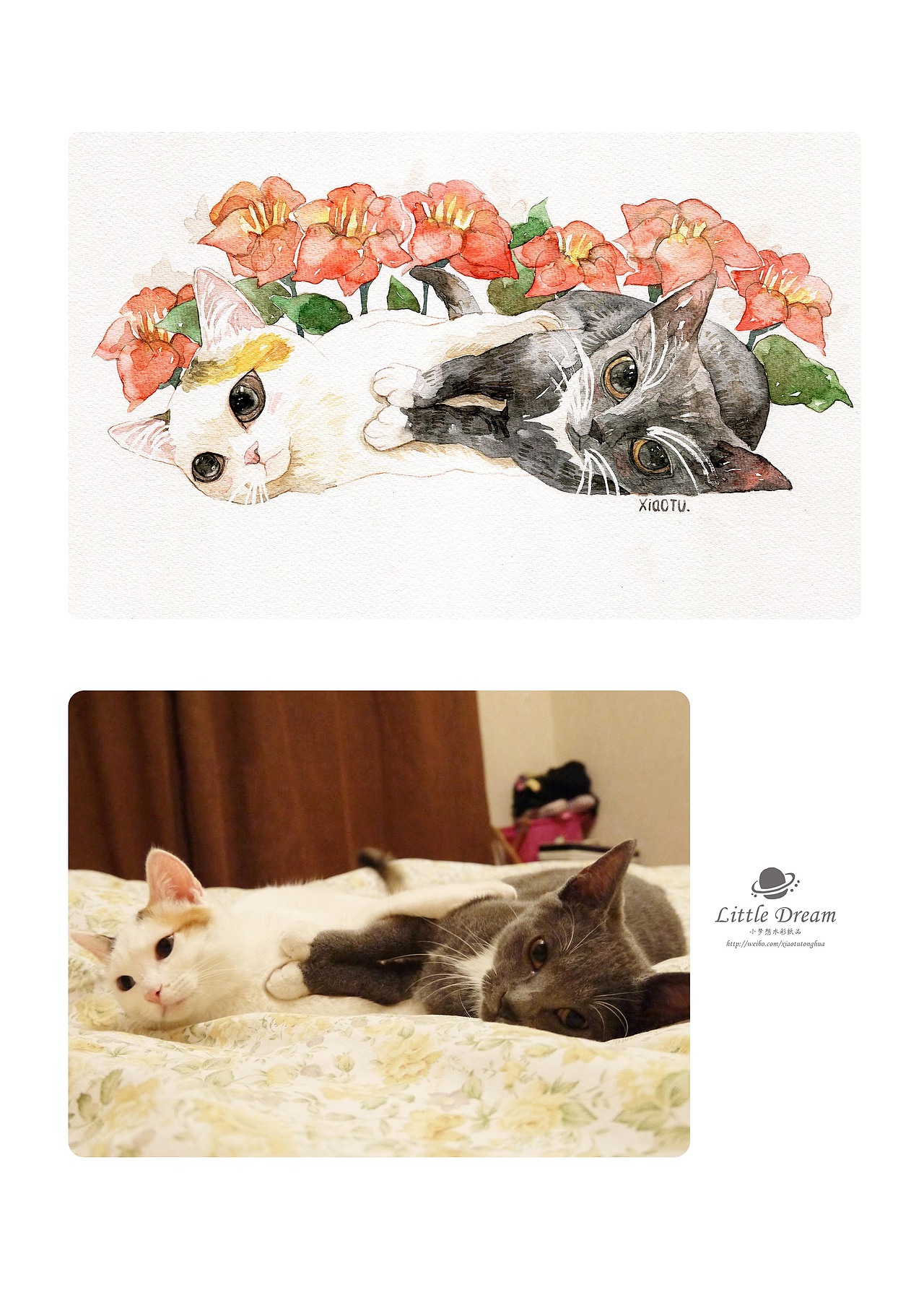 画出这个世界的萌【萌宠肖像定制】【Ⅲ】