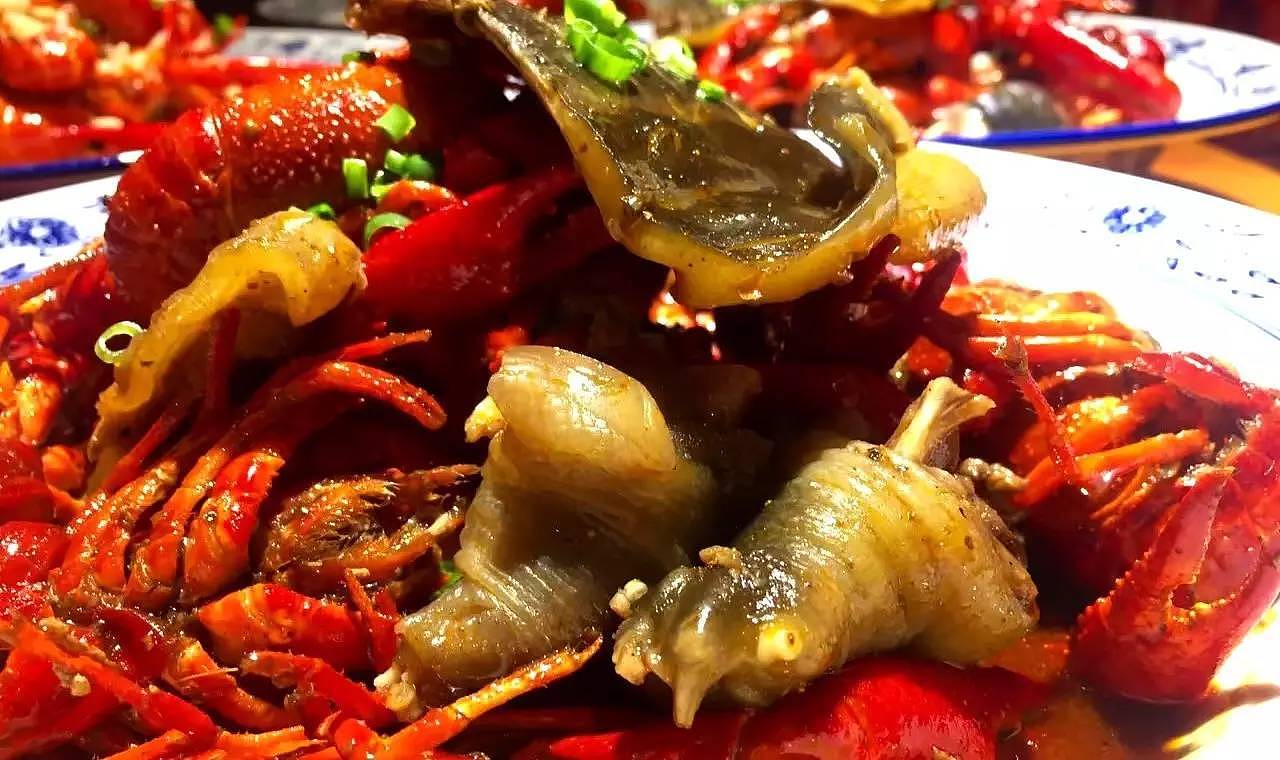 小赖毛的蒜蓉虾馆 | 品牌设计