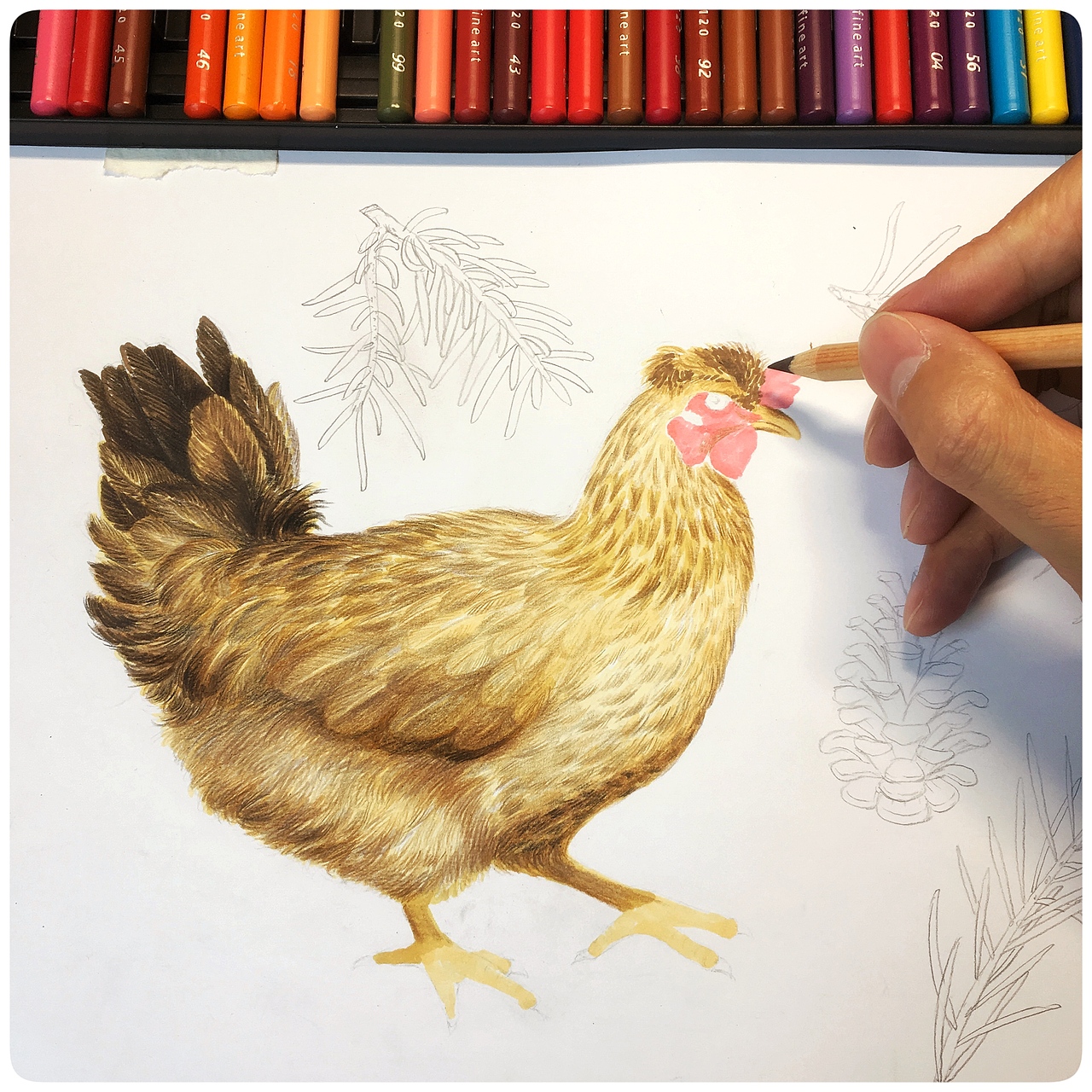 写实手绘鸡蛋包装插画