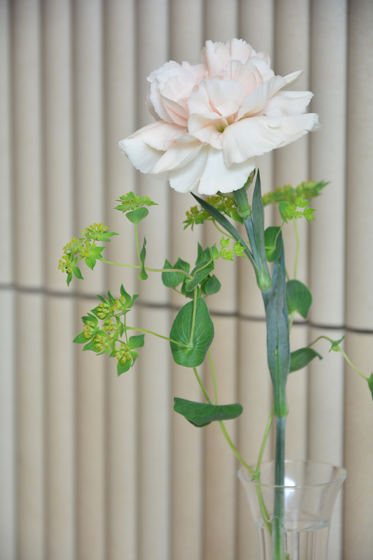 日本人文纪实摄影