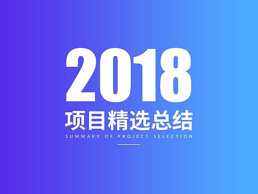 2018年项目精选总结