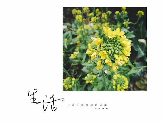 《手机拍摄》关于那些二三事（个人主页-ZMjc5NDIzMzI=） - 其他摄影 - 站酷设计师杨MeMeMe原创素材 - 站酷ZCOOL