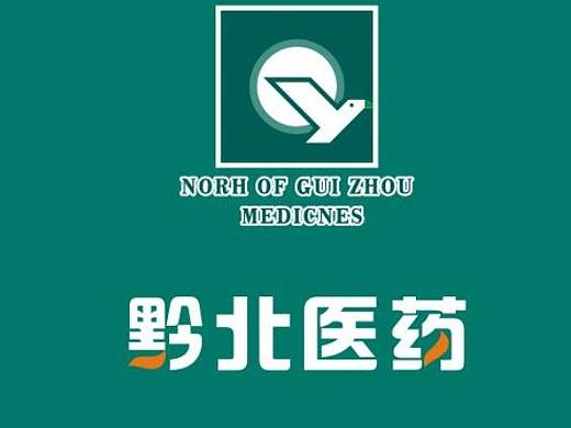 医药VI识别系统