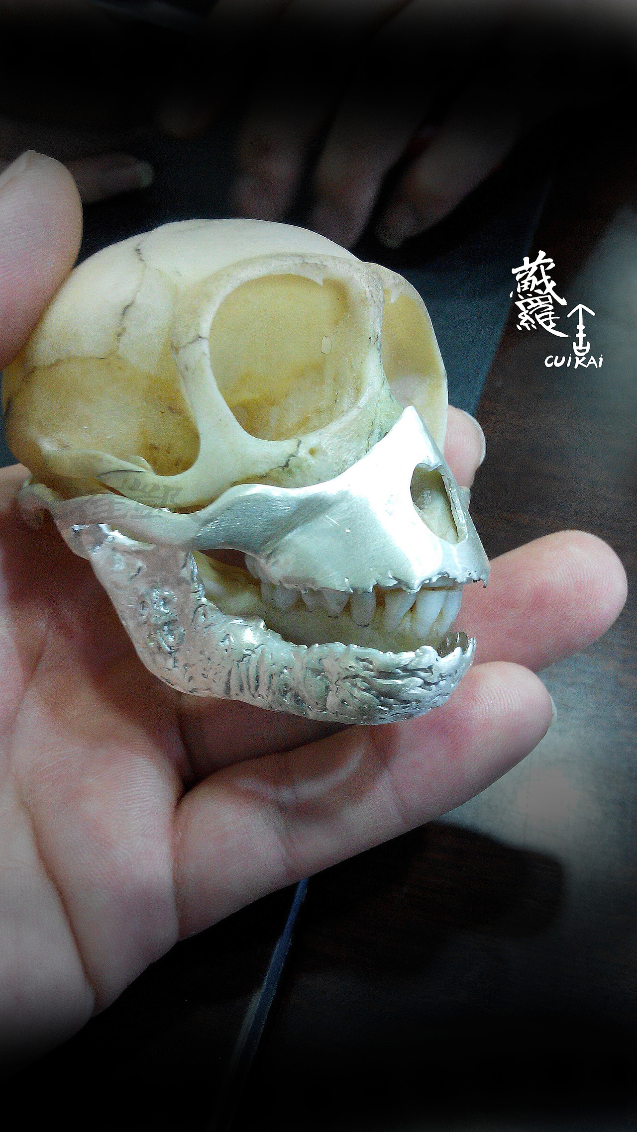 客人参与设计创作《骨骼标本饰品设计案例》