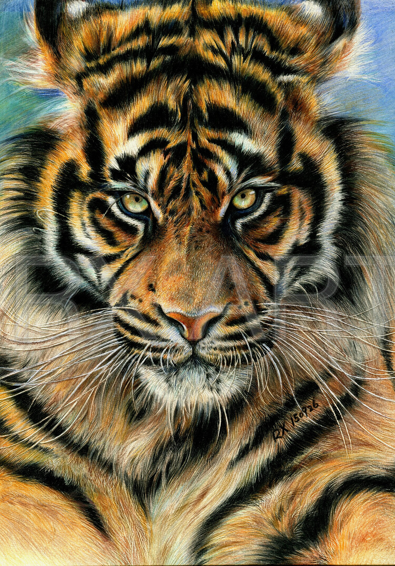 【彩铅动物】森林之王