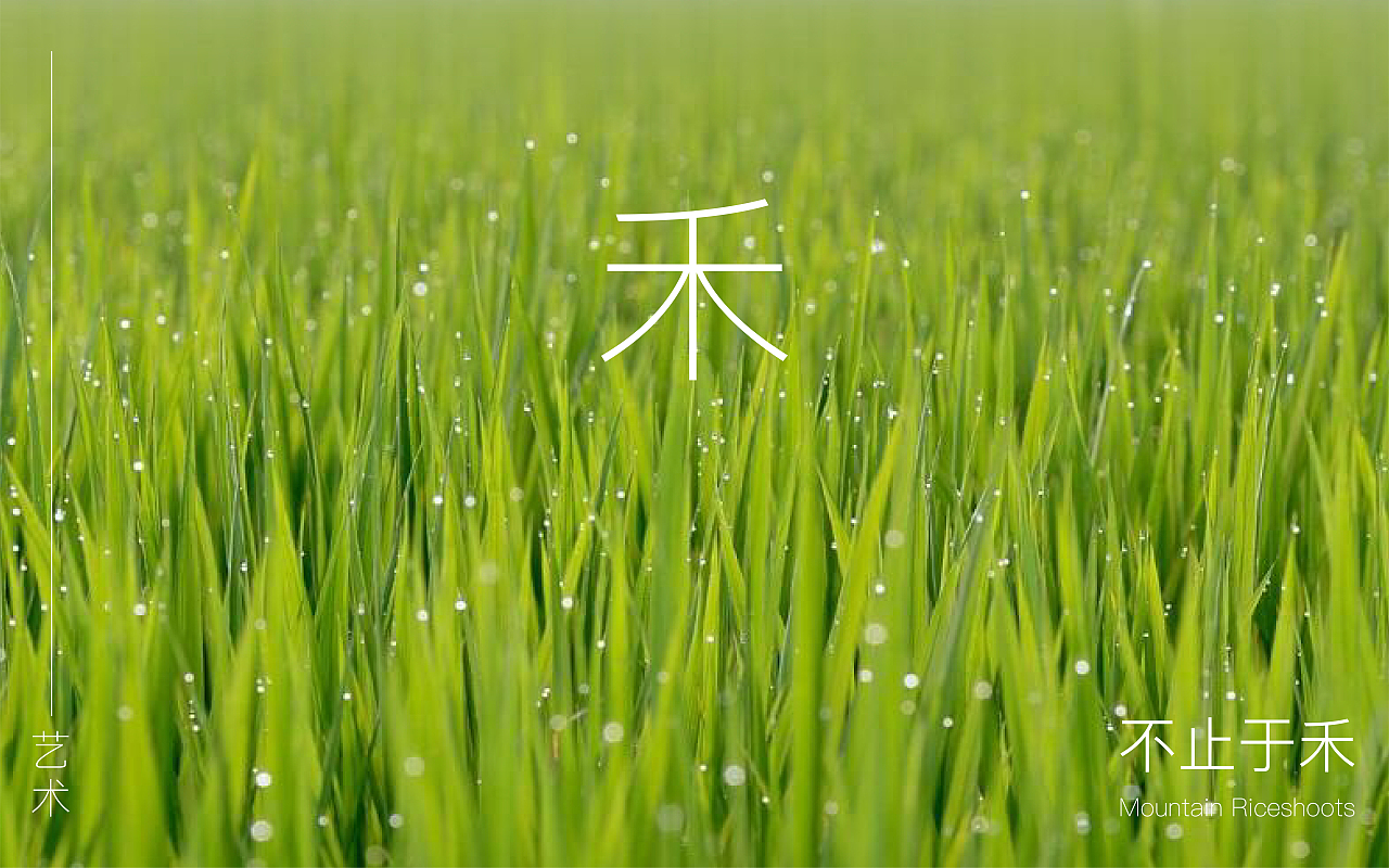 山禾藝術(shù)VI規(guī)范（圖ZMjM4NDM3NDYw） - 品牌 - 站酷設(shè)計(jì)師早起的人兒有鳥吃原創(chuàng)素材 - 站酷ZCOOL