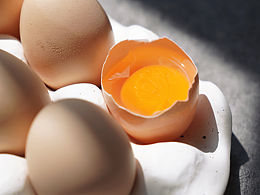 鸡蛋静物拍摄