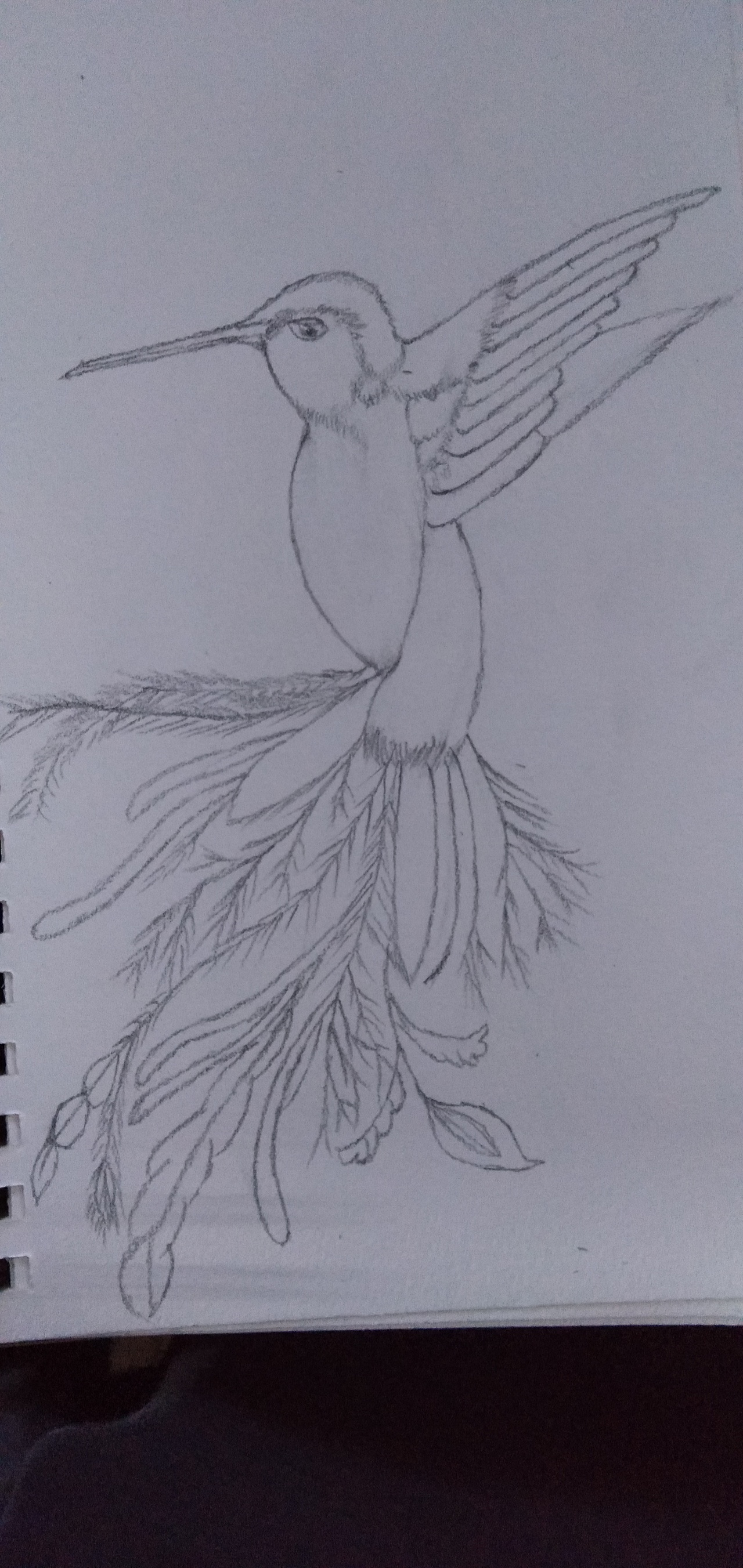 飞鸟|纯艺术|绘画|魔法屋设计 - 临摹作品 - 站酷 (zcool)